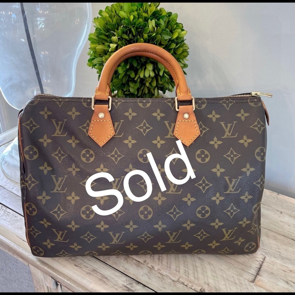 Louis Vuitton Speedy 35